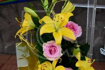 Pregón de La Viña a cargo del alcalde de Telde y actuación del humorista Maestro Florido (Foto Antonio Alí y TA)